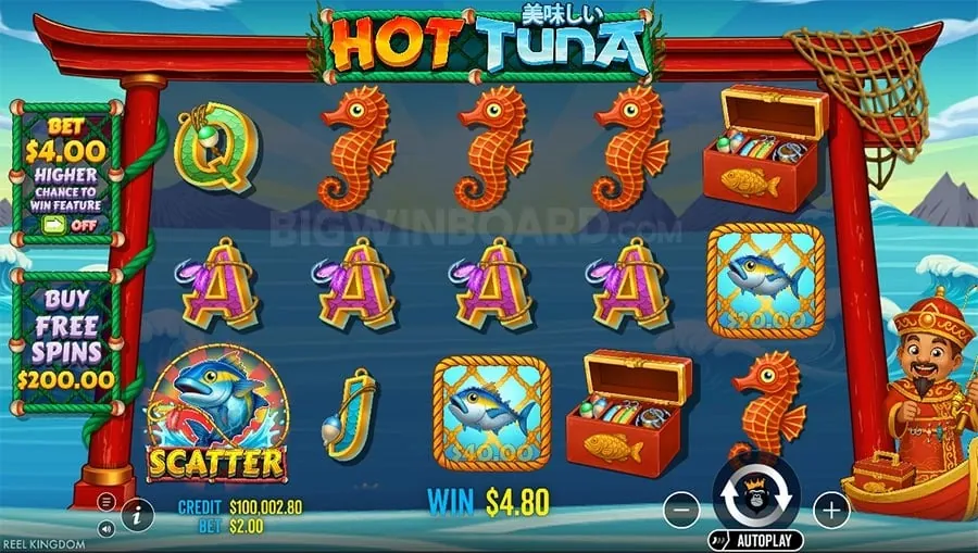 Sports betting on 774pub com app